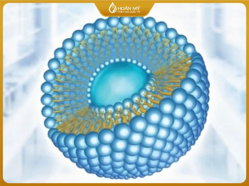 Công nghệ Liposome giúp hoạt chất thẩm thấu sâu và an toàn hơn cho da.